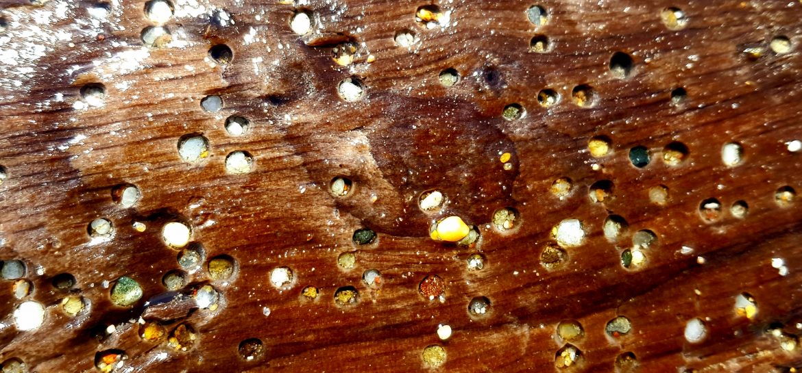 Marqueterie naturelle
