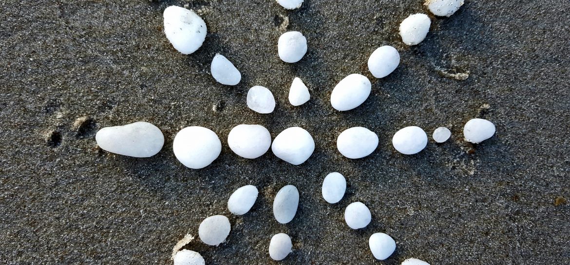 Étoile de mer