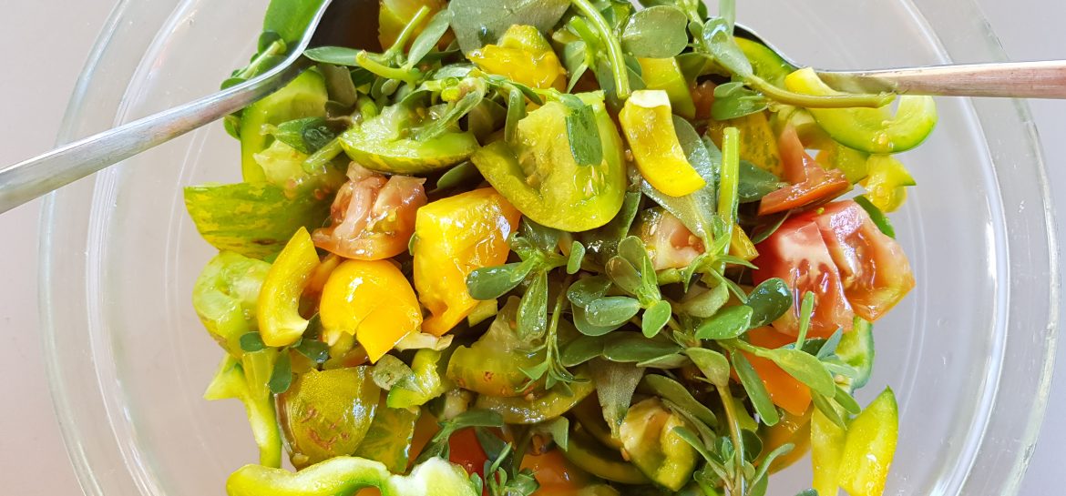 Salade porquerollaise : pourpier, tomates, poivrons, huile d&rsquo;olive