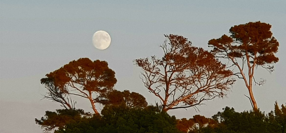 Lever de lune depuis la Pointe Prime