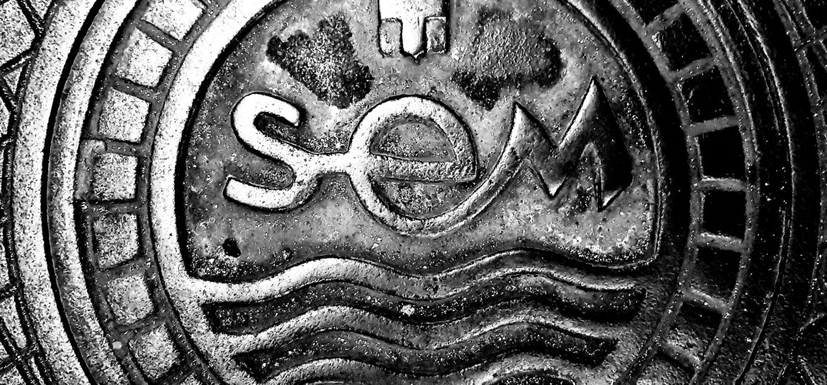 Plaque SEM