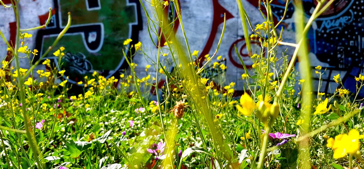 Bobigny