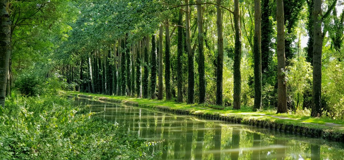 Canal de l&rsquo;Ourcq à Gressy