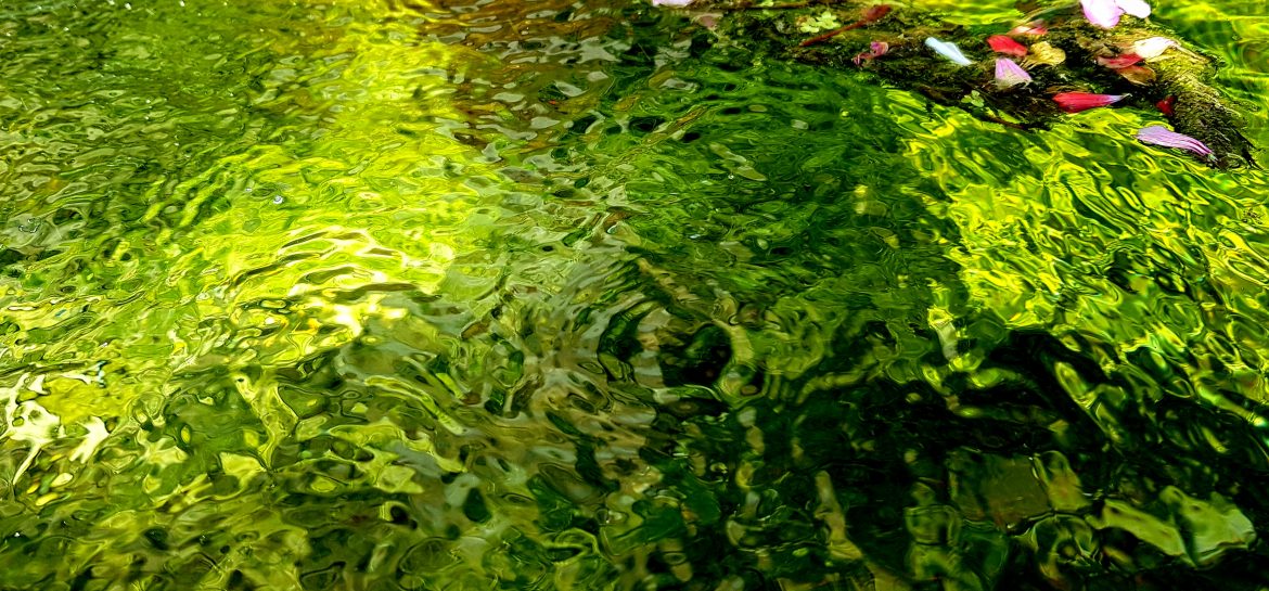 Fraîcheur de la fontaine de Vincelles (mais l&rsquo;eau n&rsquo;était pas potable !)