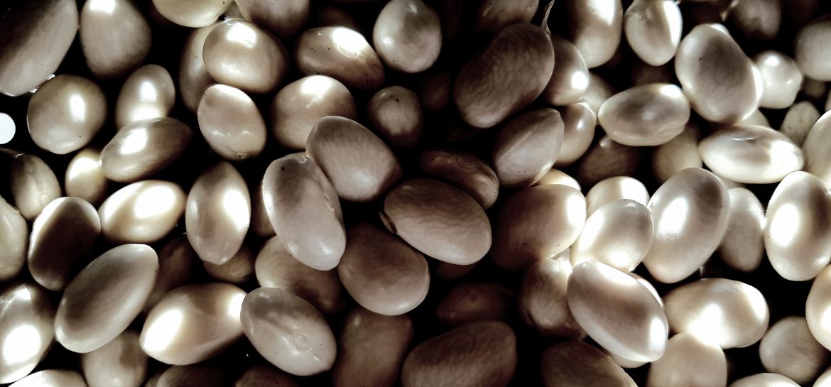 Richesse du monde : les cocos