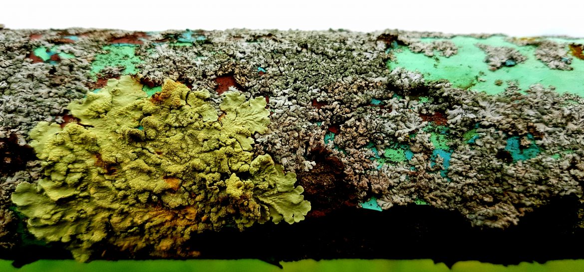 Gris, bleu, vert