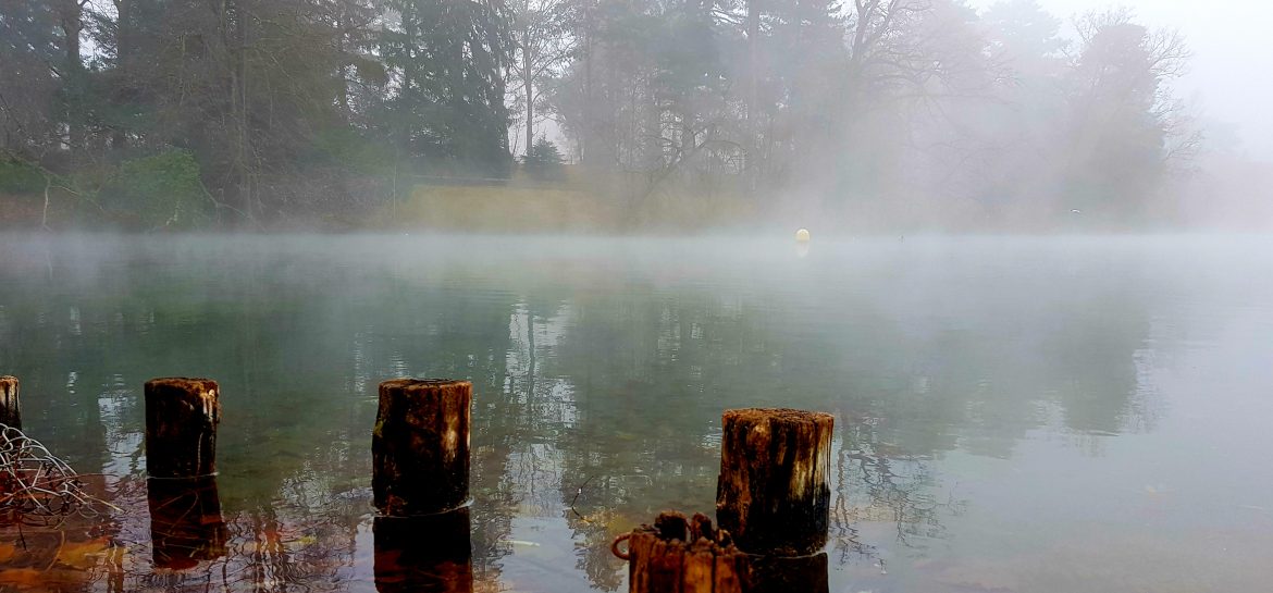 Parc de la Tête d&rsquo;Or