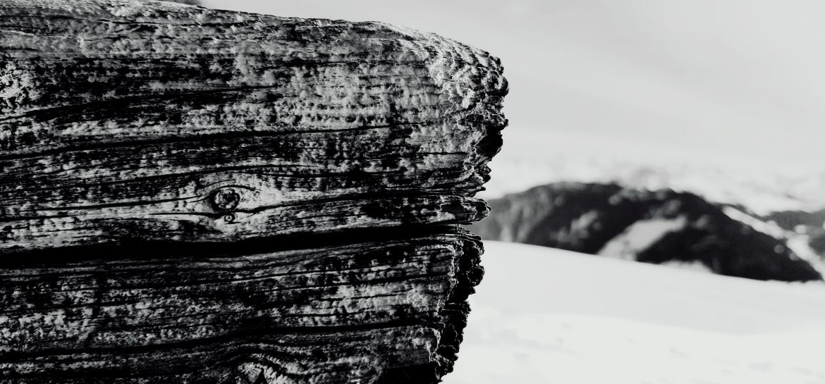 Bois et neige