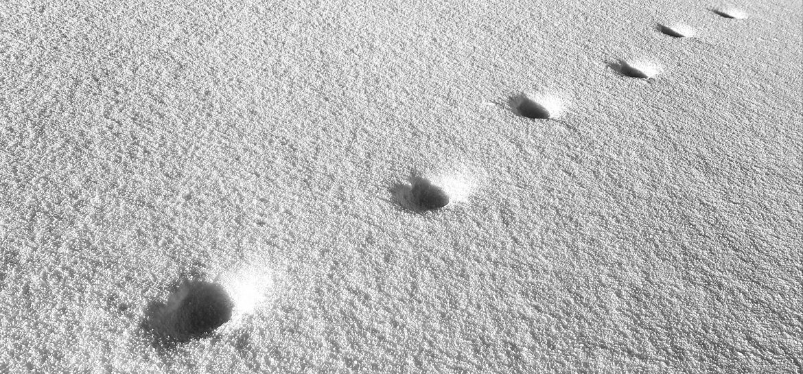 Traces