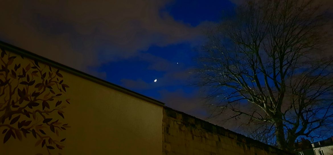 Une lune, Vénus et deux arbres