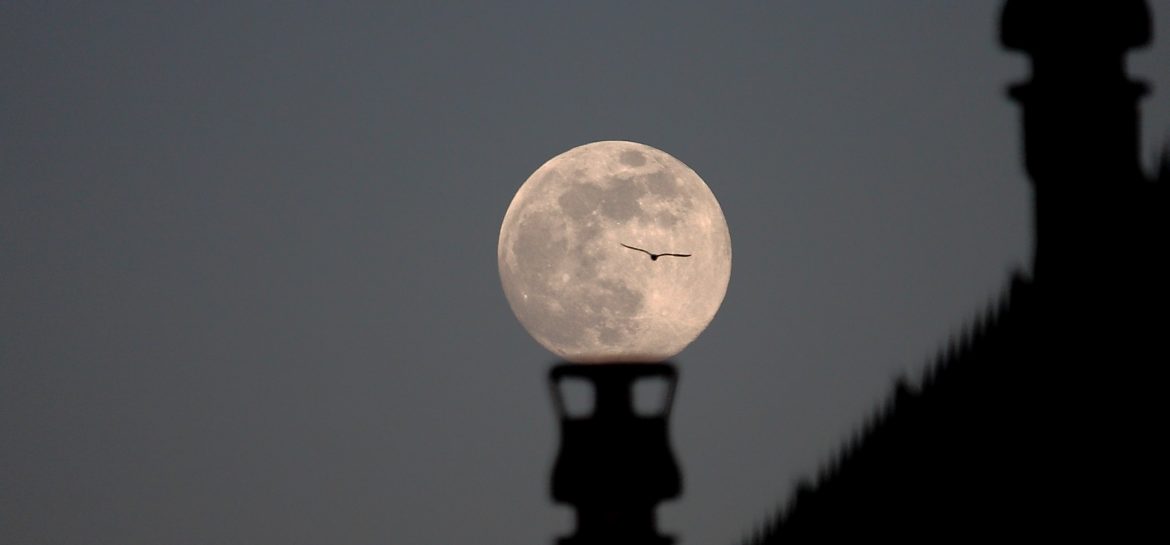 Lune à l&rsquo;oiseau et aux cheminées
