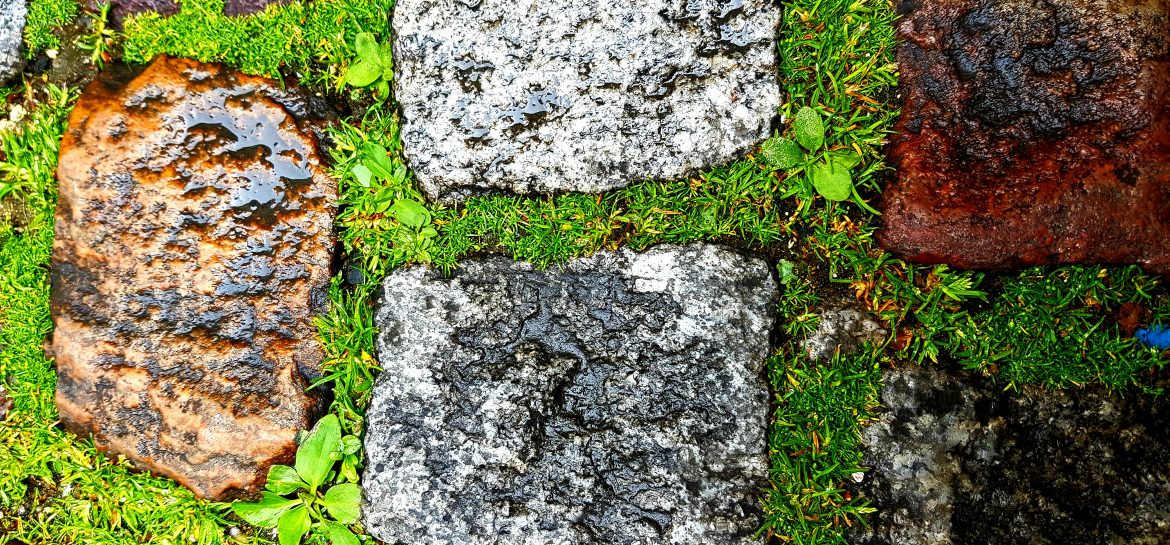 Sous les pavés,  la prairie
