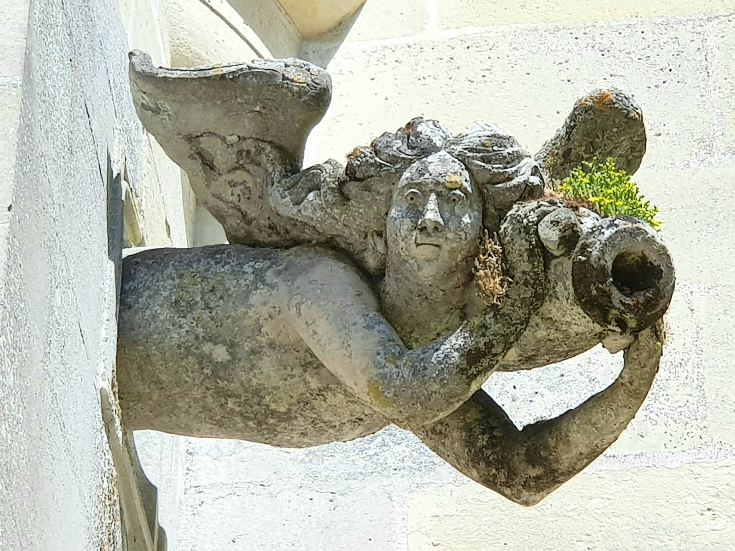 Gargouille à Chaâlis