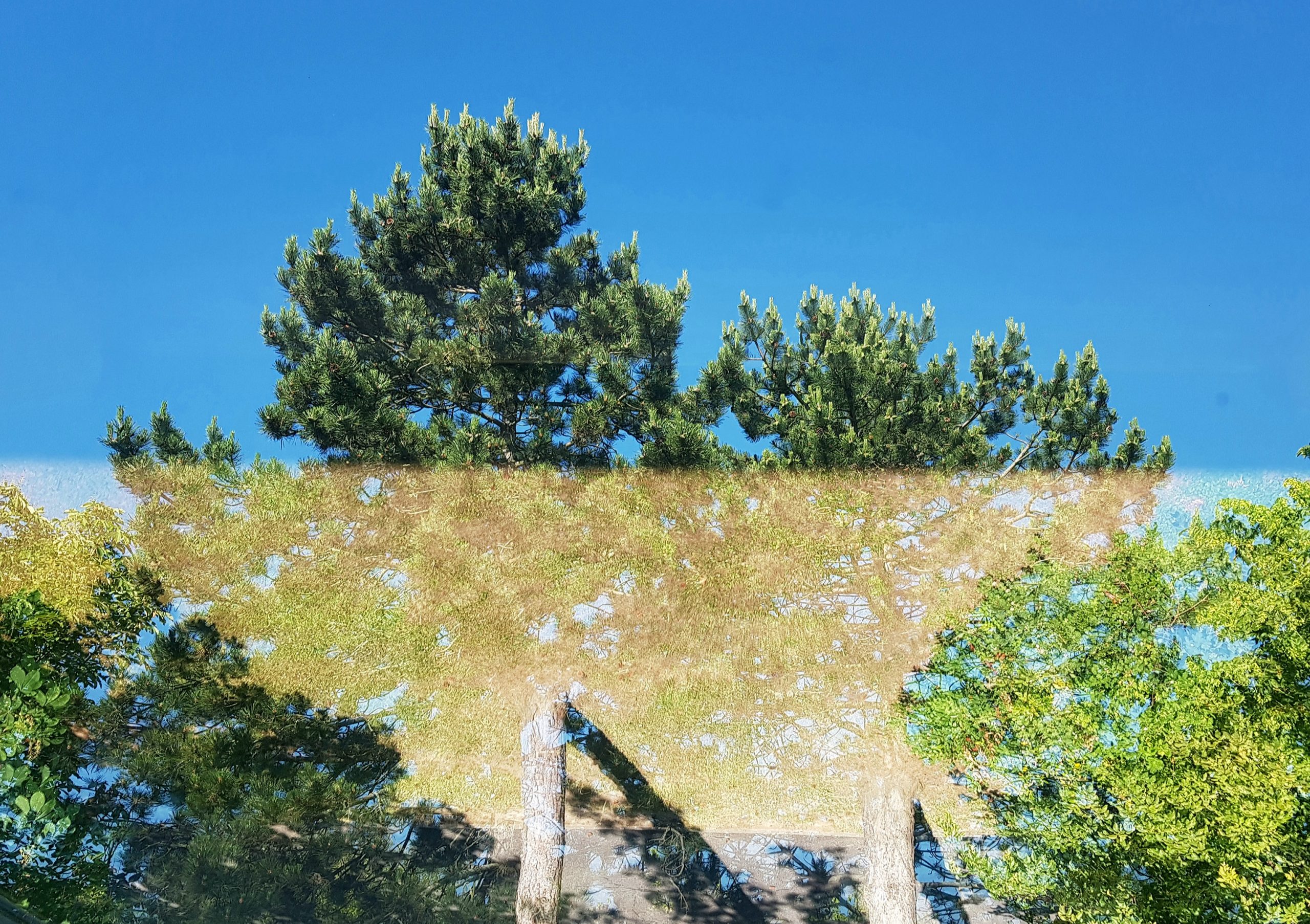 Reflet