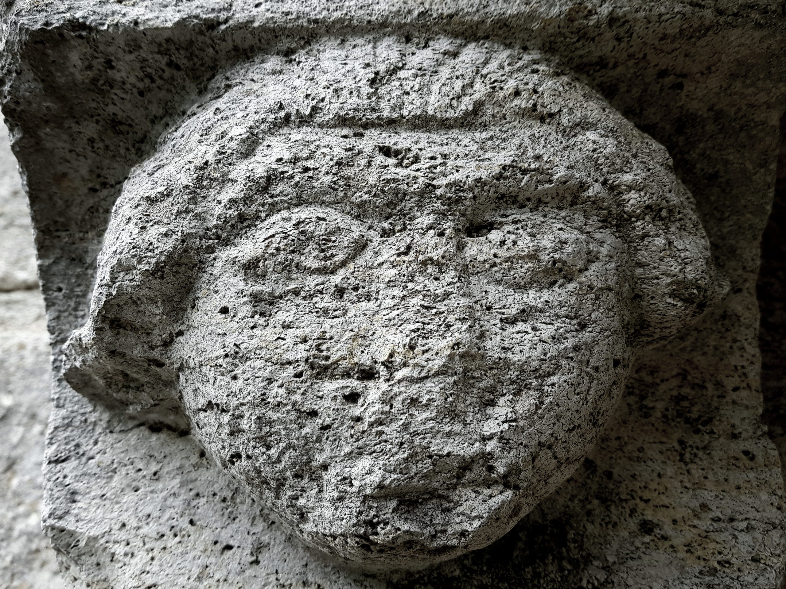 Tête à Yèvre