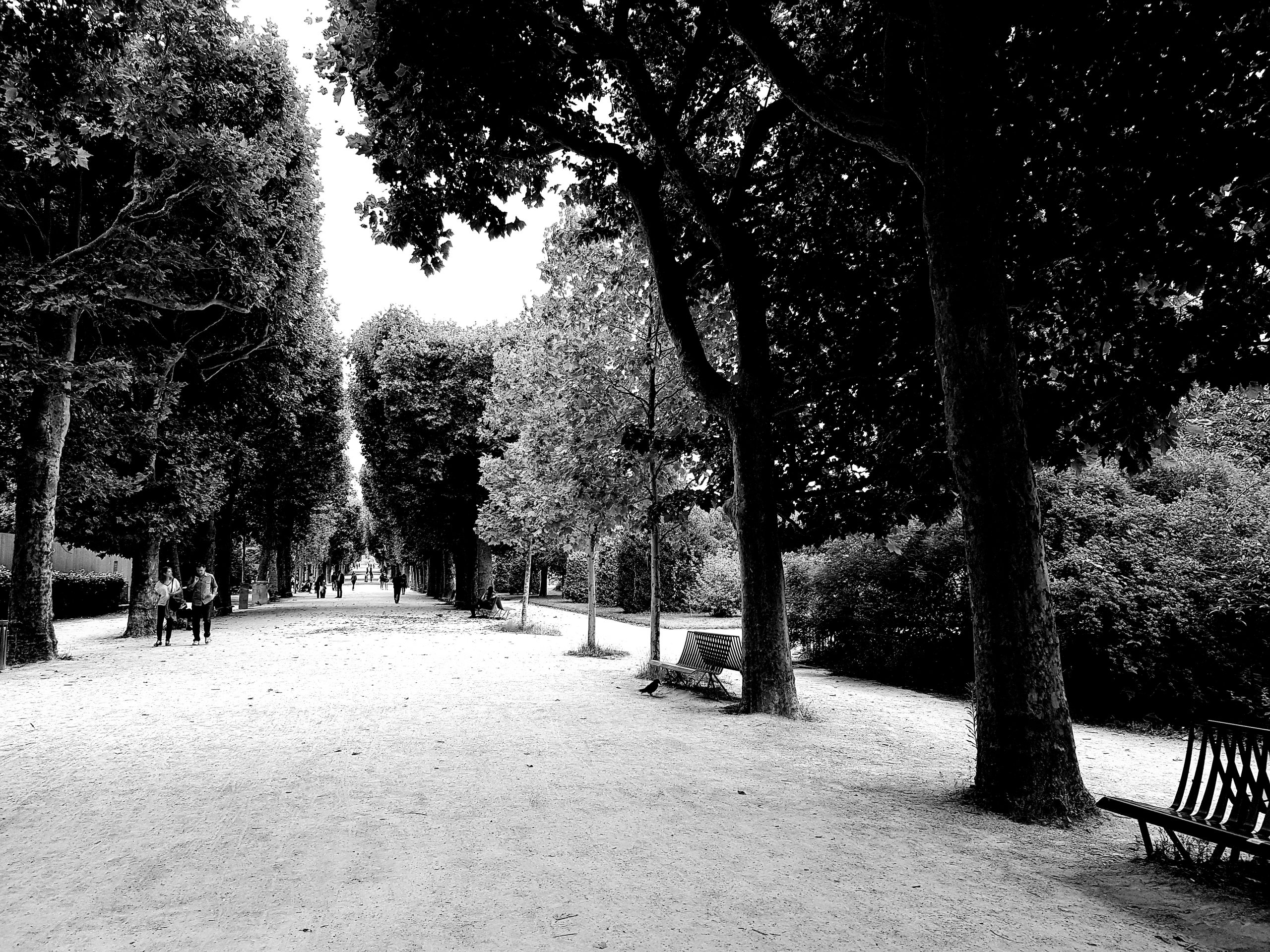 Dans les allées du Jardin des Plantes