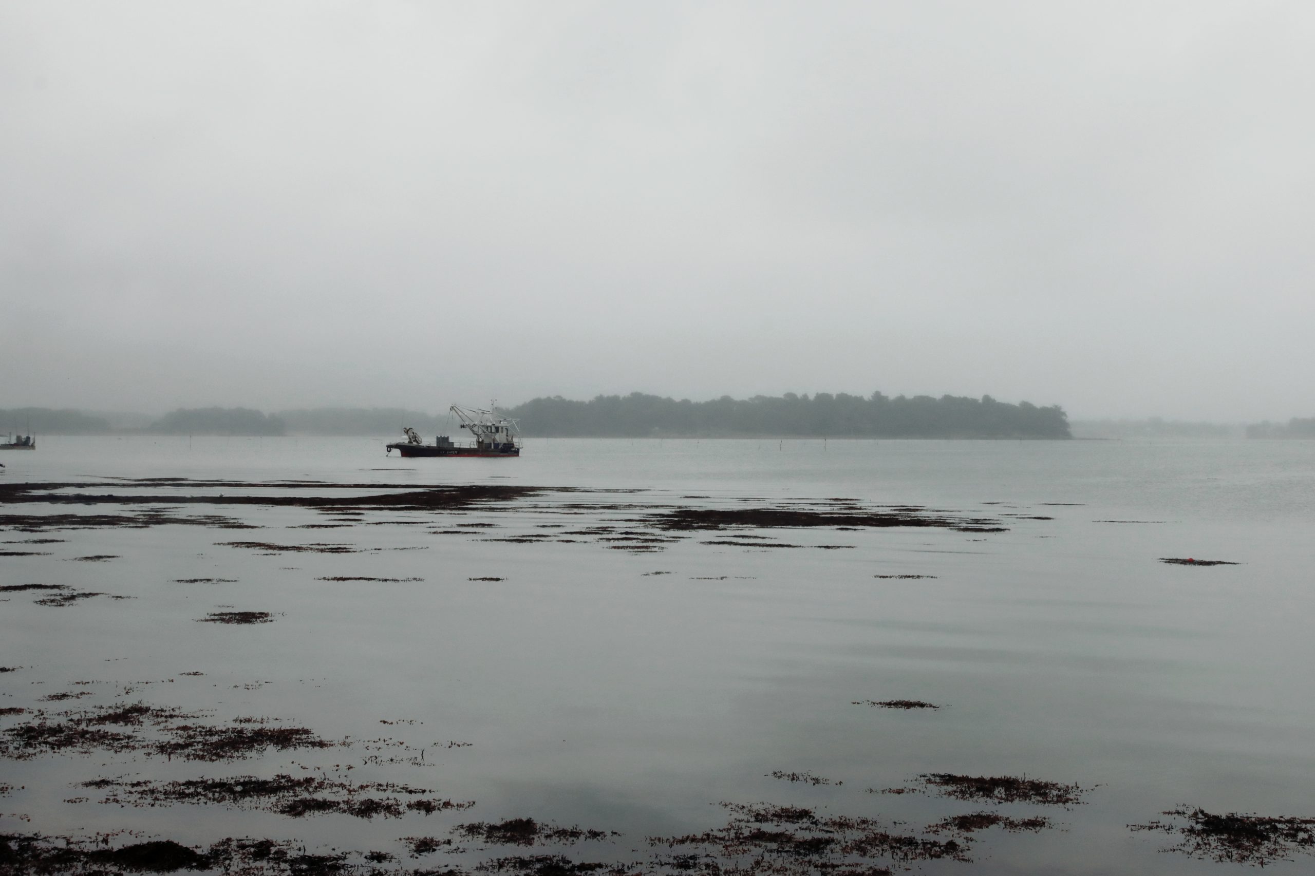 Morbihan