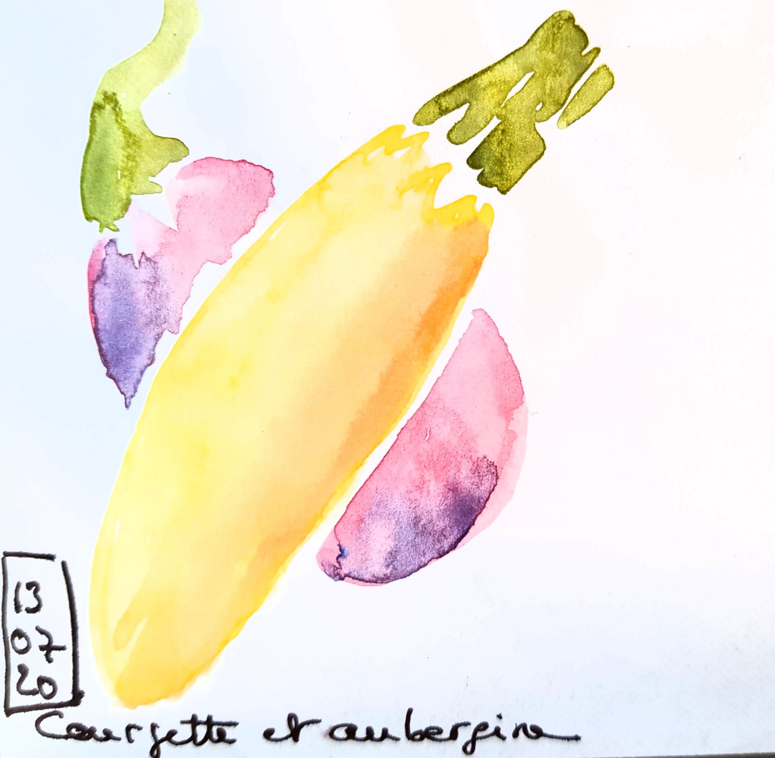 Courgette et aubergine
