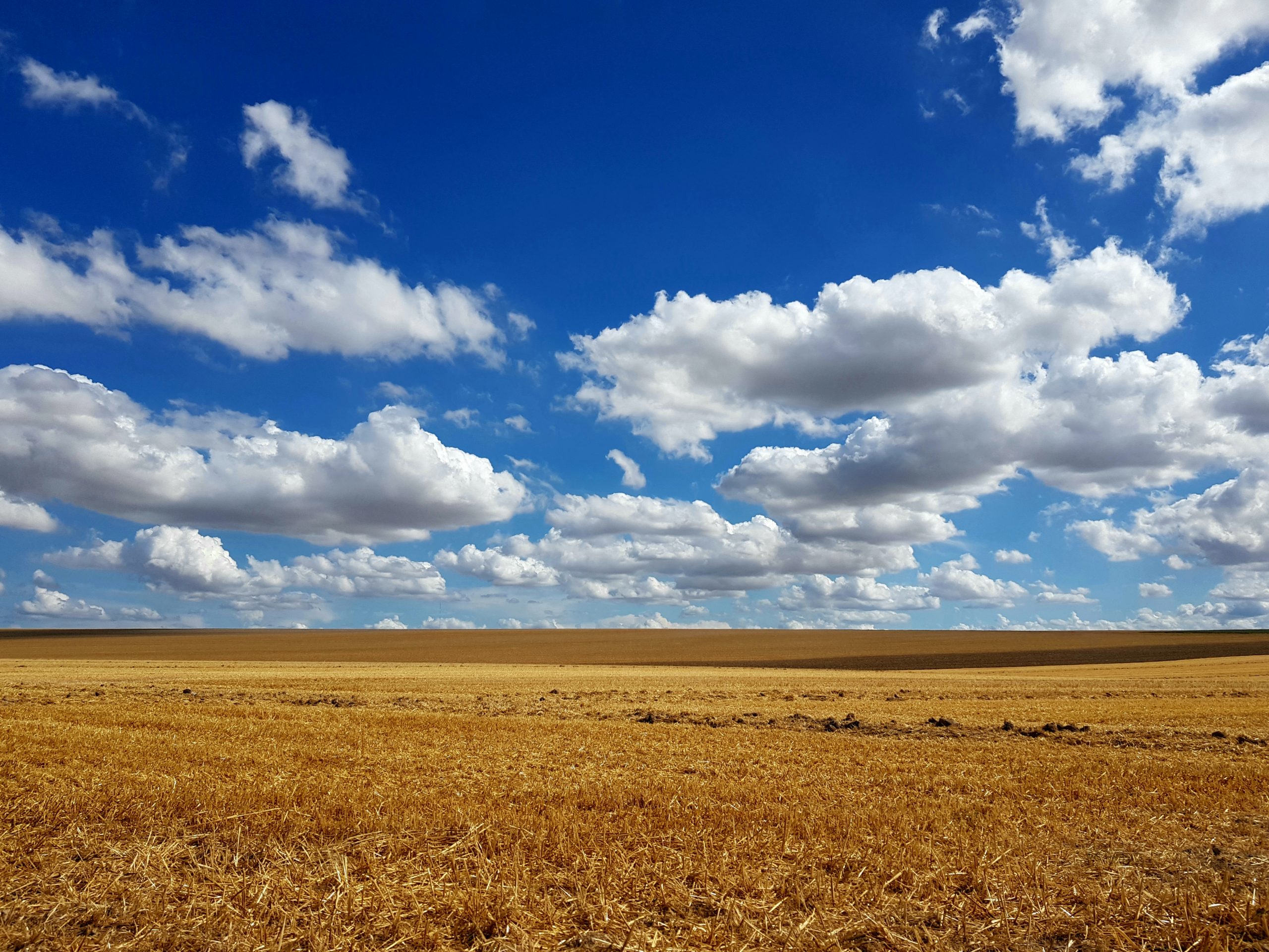 Moisson de nuages