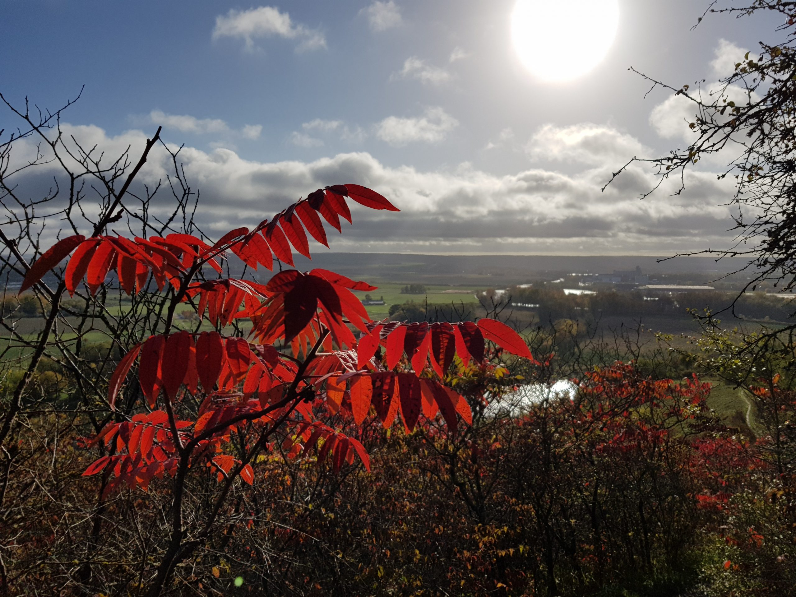 L&rsquo;Yonne