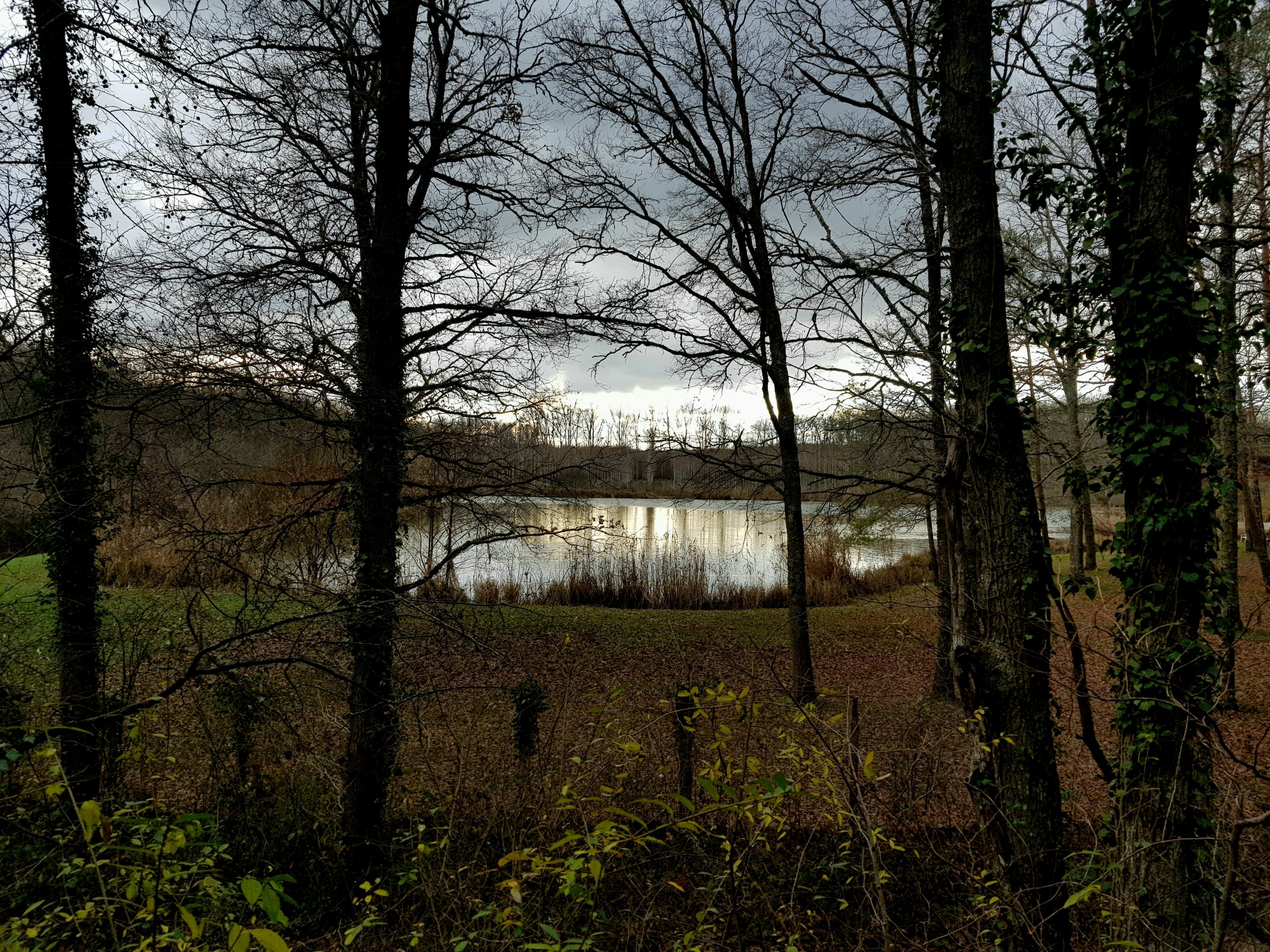 Etangs de Charbuy