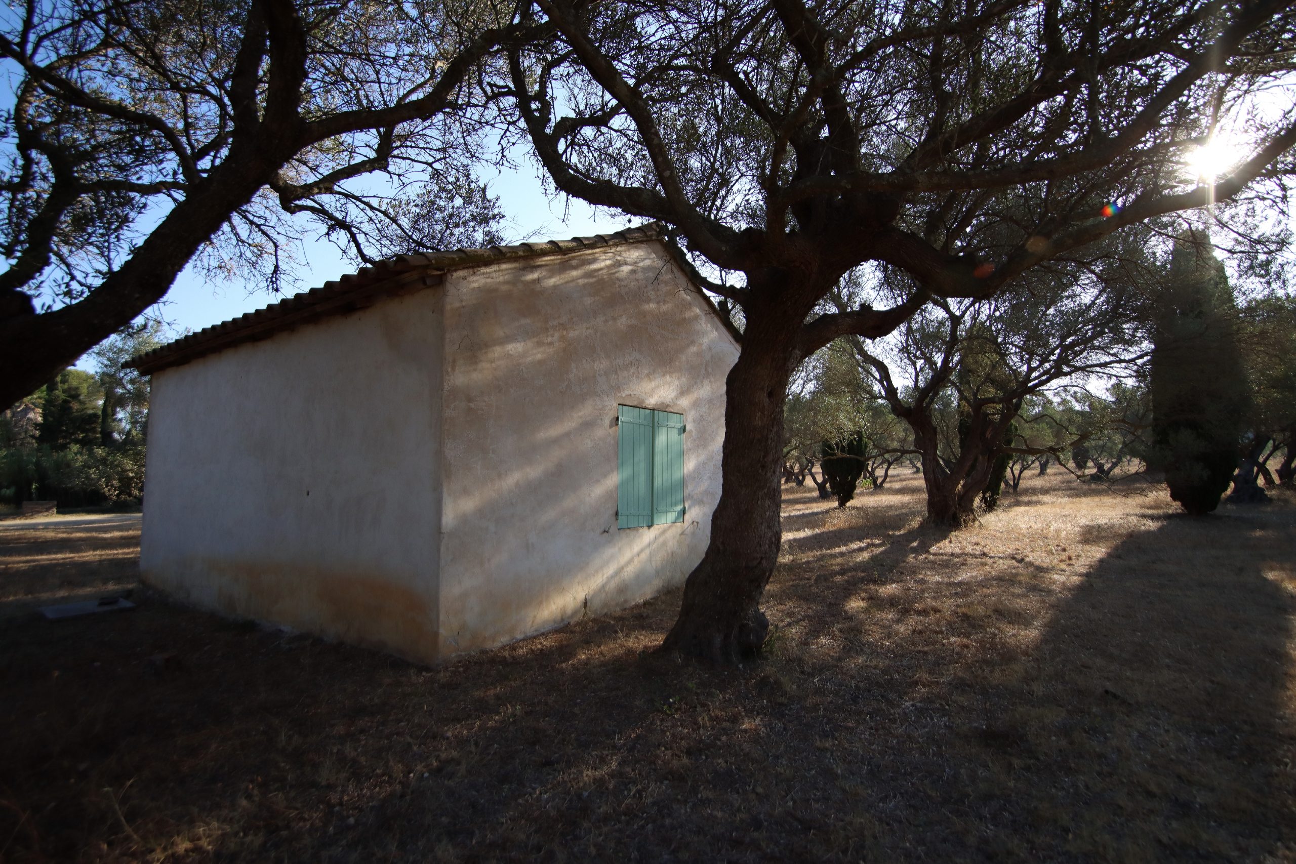 Maison aux oliviers