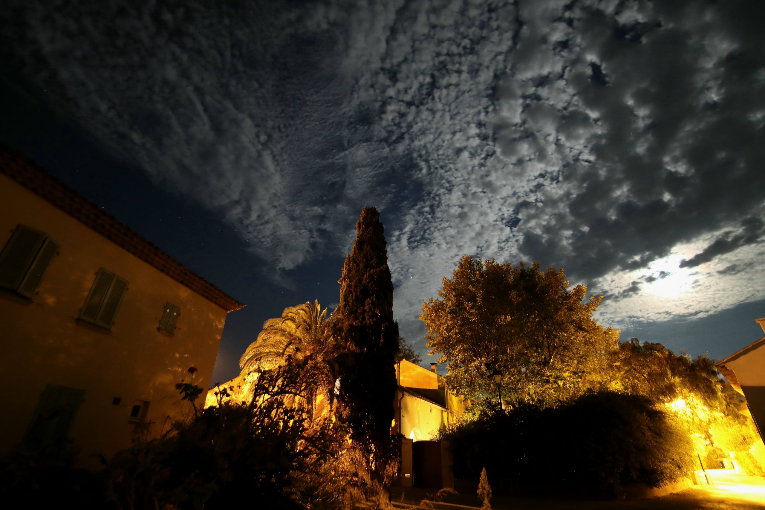 Ciel pommelé au cyprès