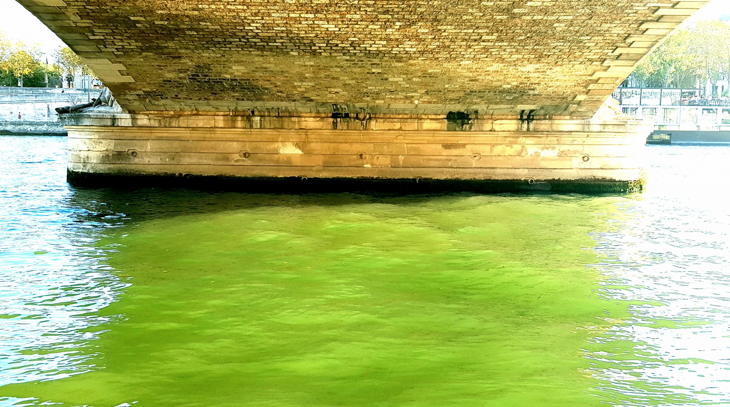 Eau verte