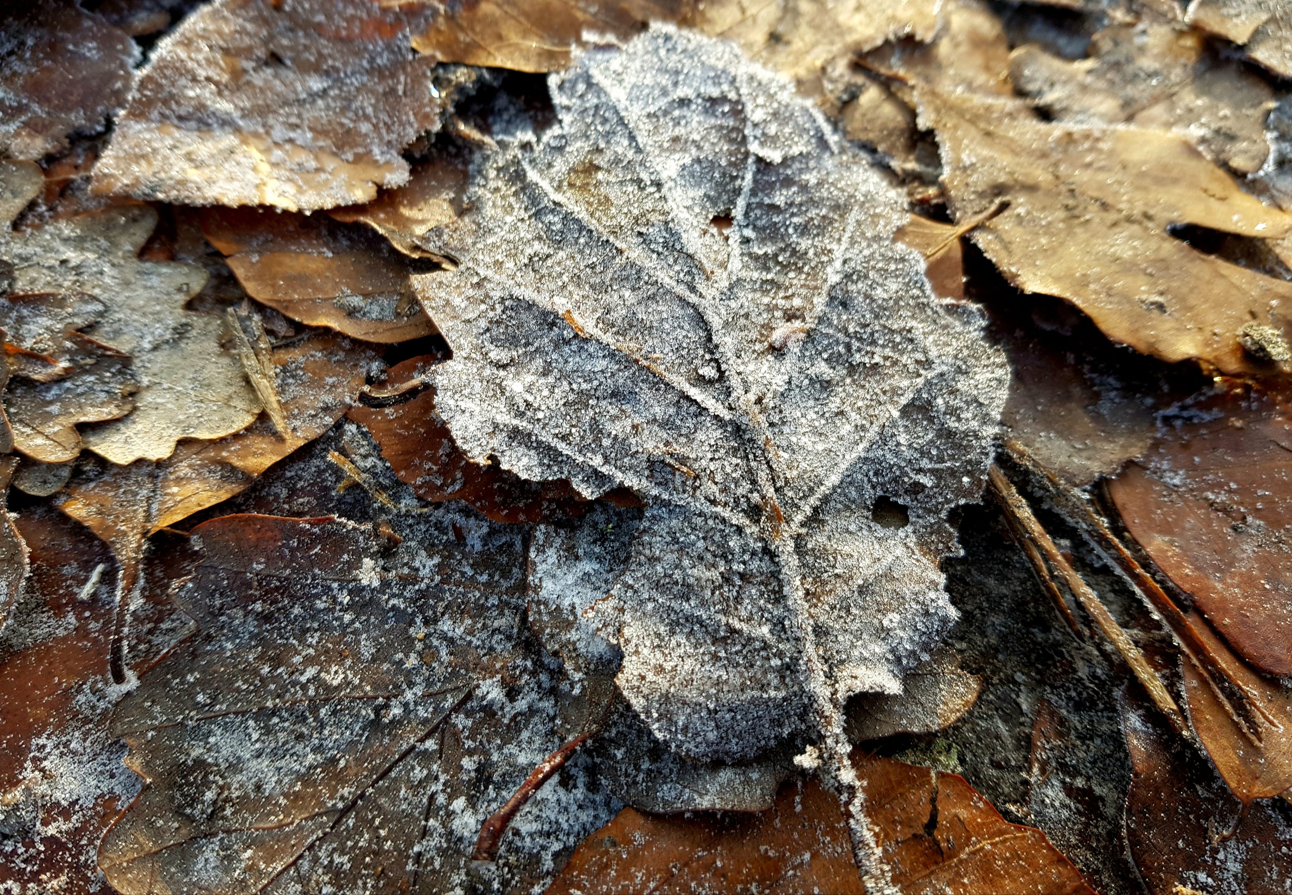 Givre
