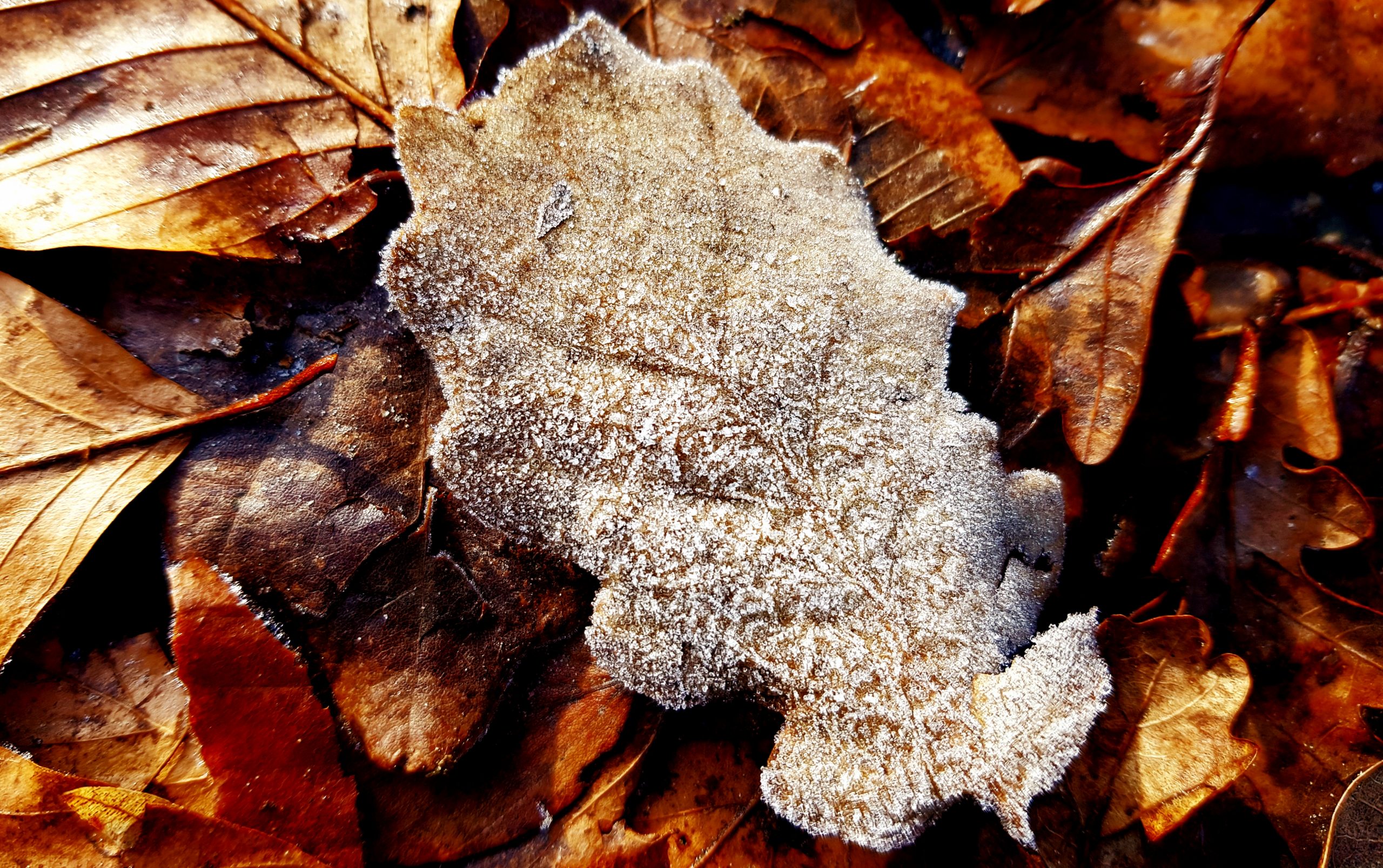 Givre