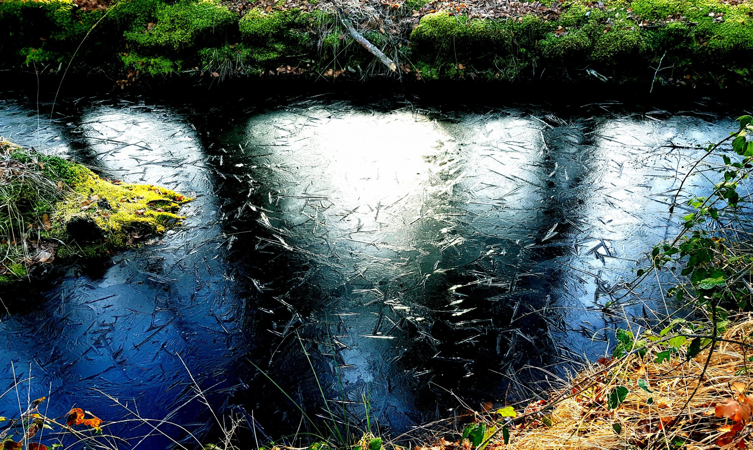 La mare aux Évées
