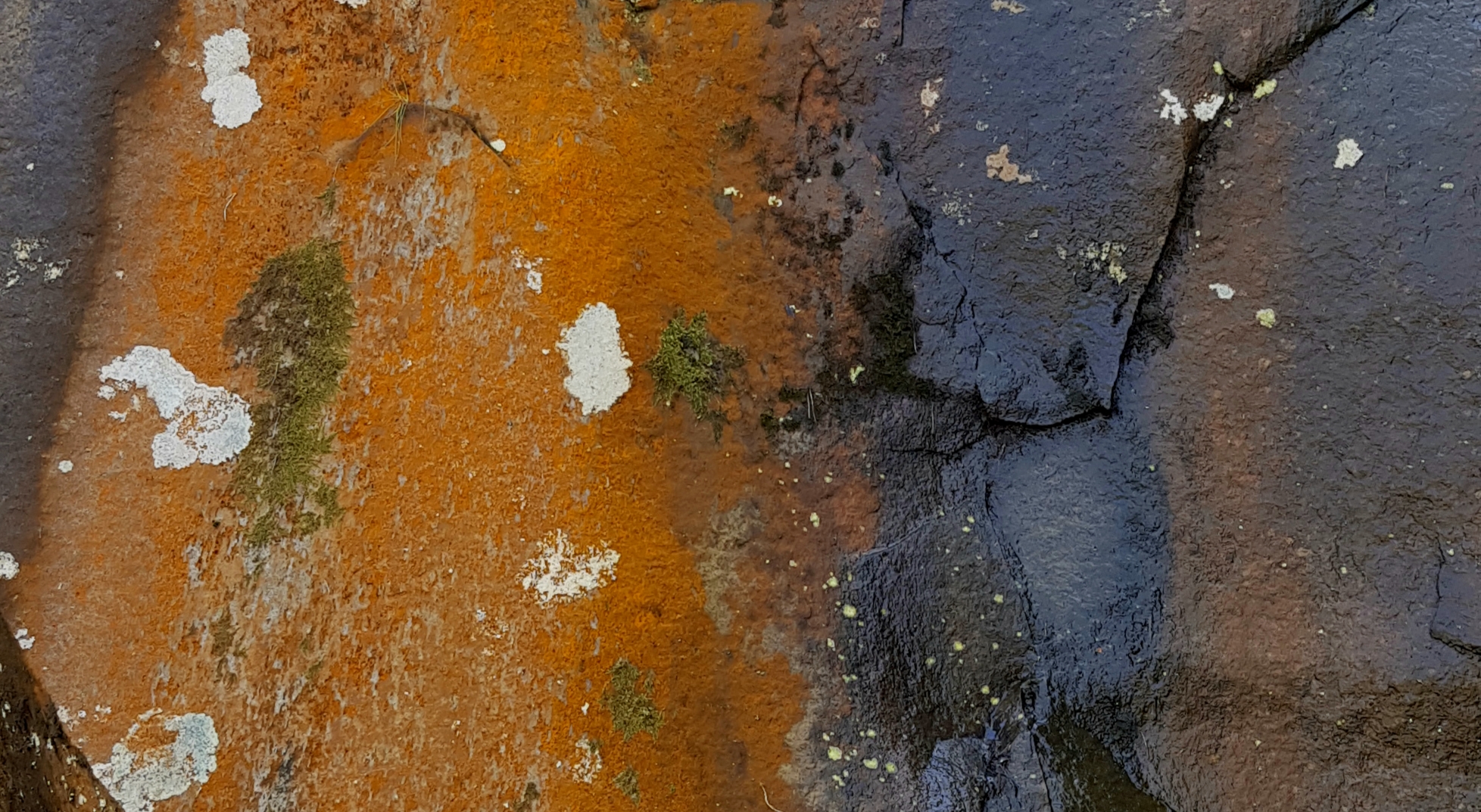 Oxydation