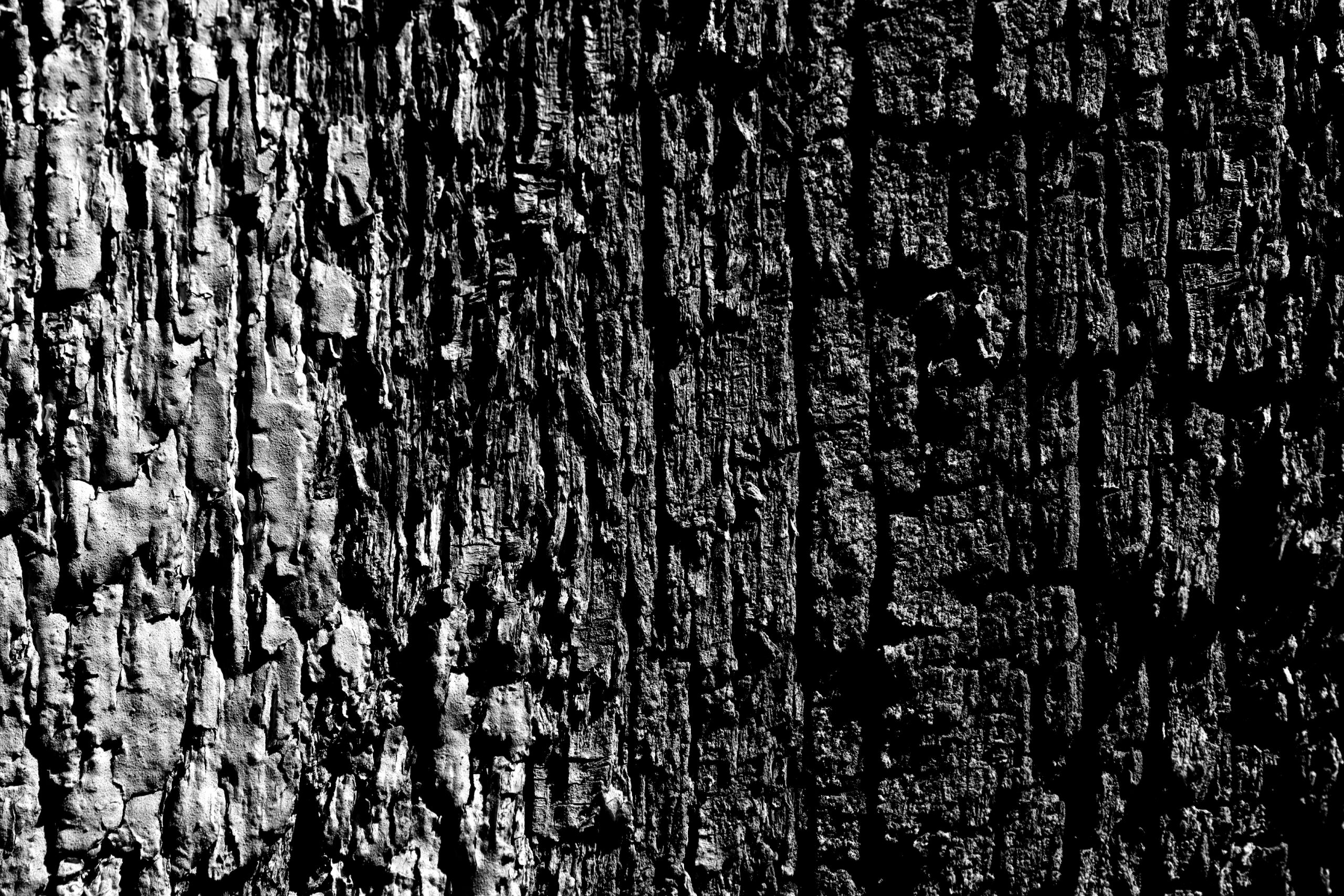 Porte en bois