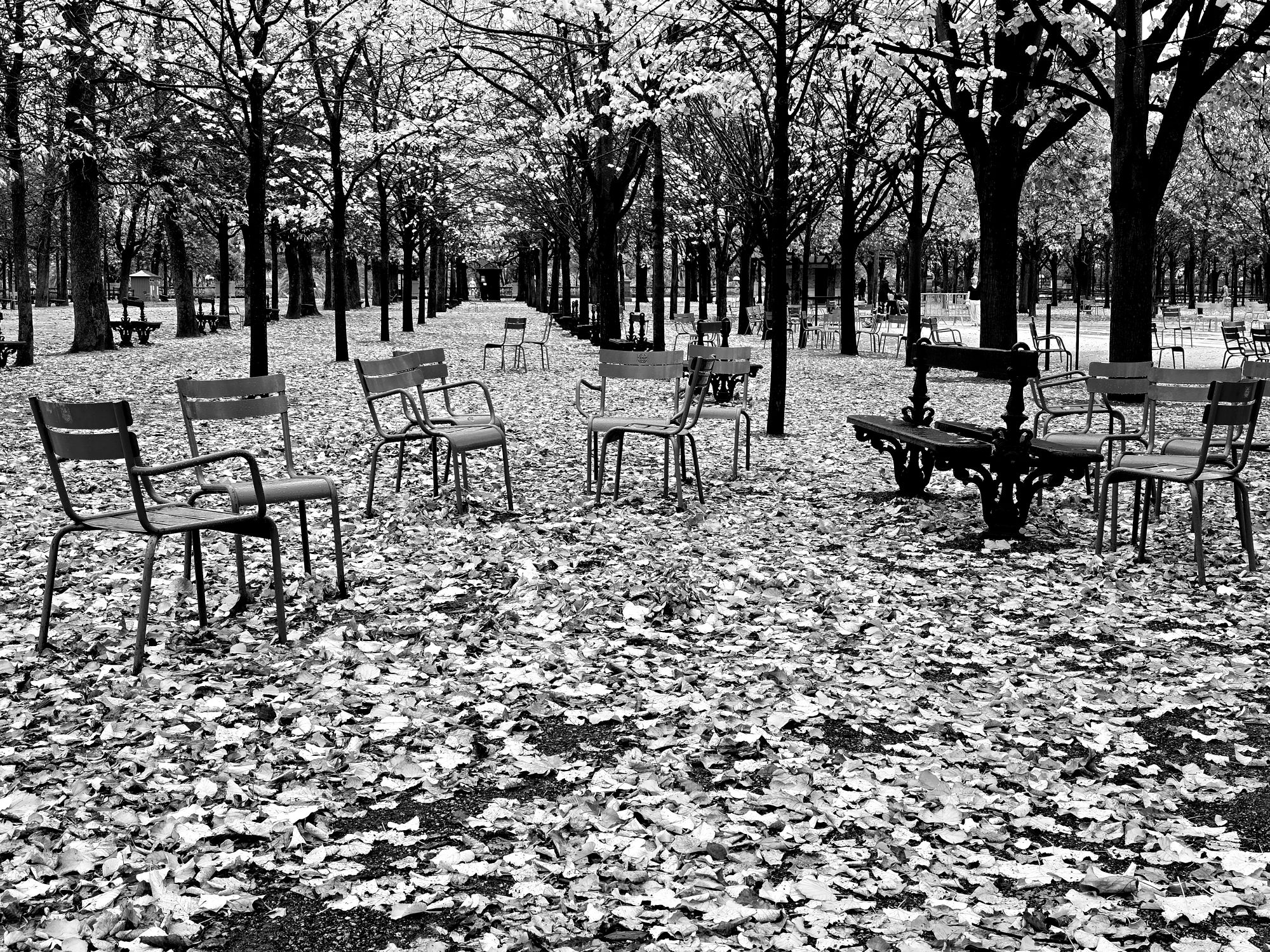 Jardin d&rsquo;automne