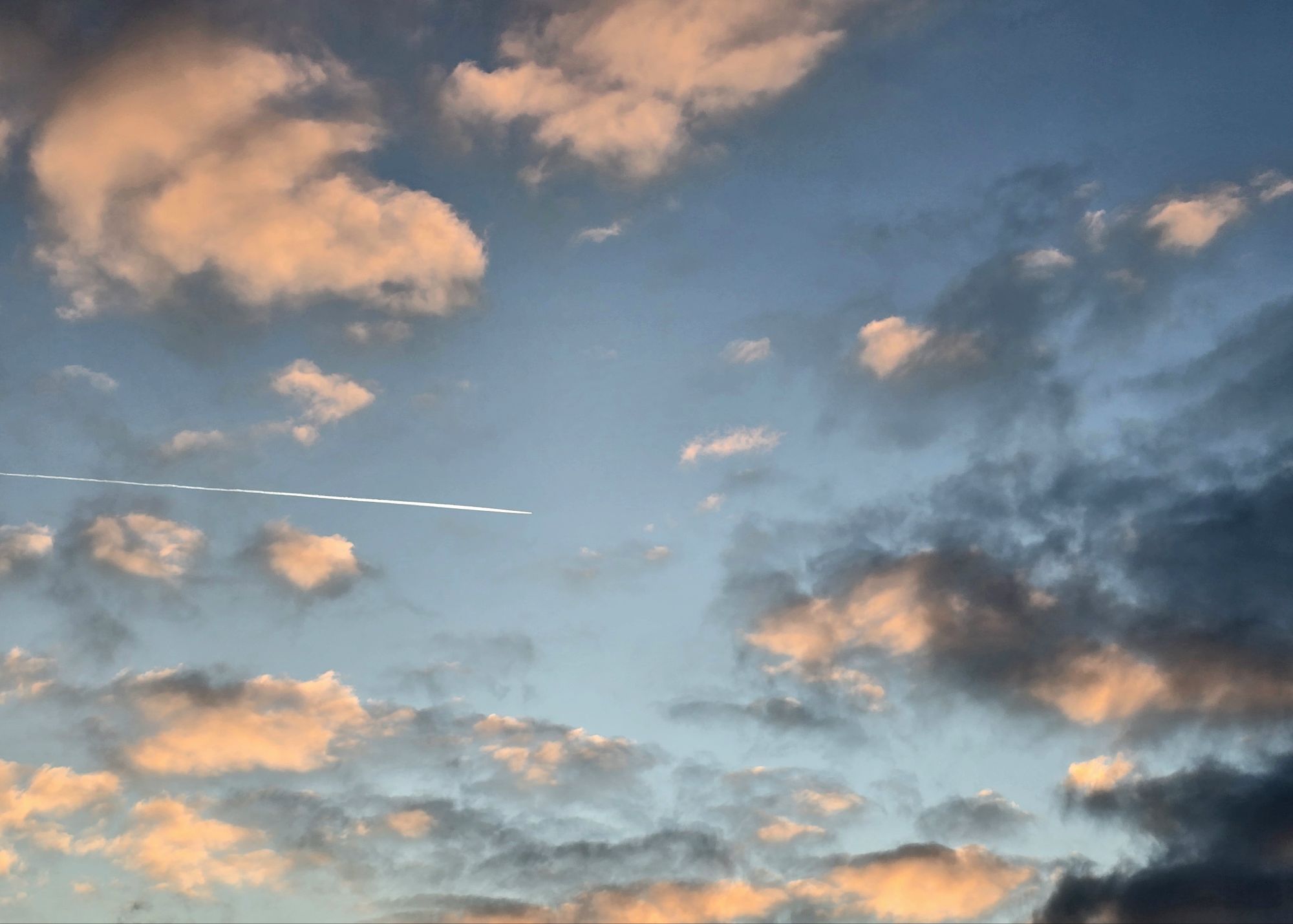 Ciel