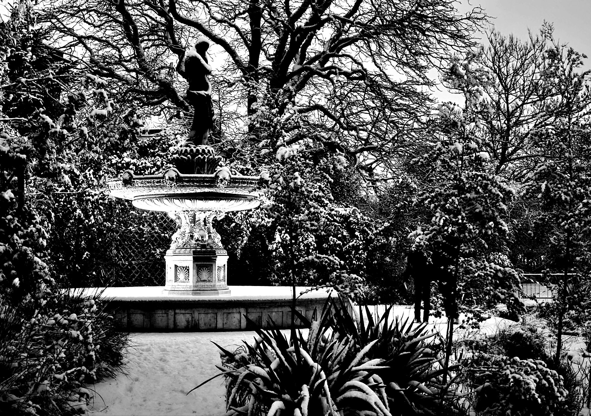 Fontaine sous la neige