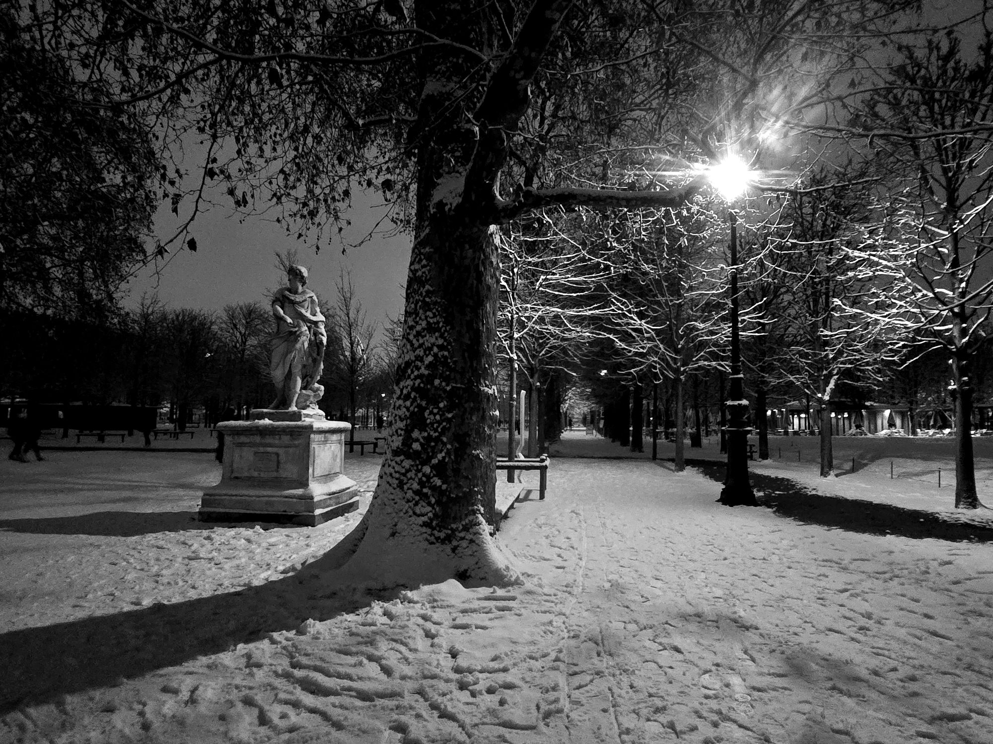 Jules Cesar sous la neige