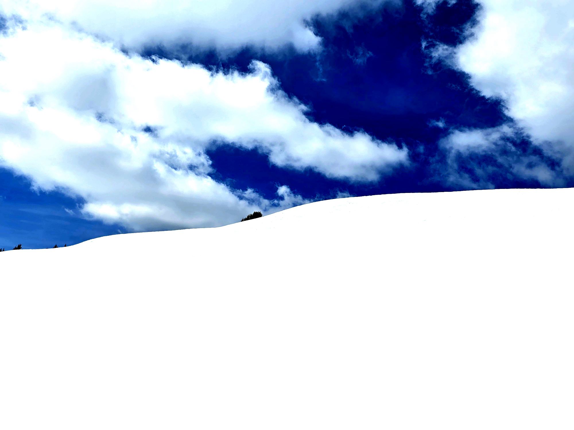 Neige