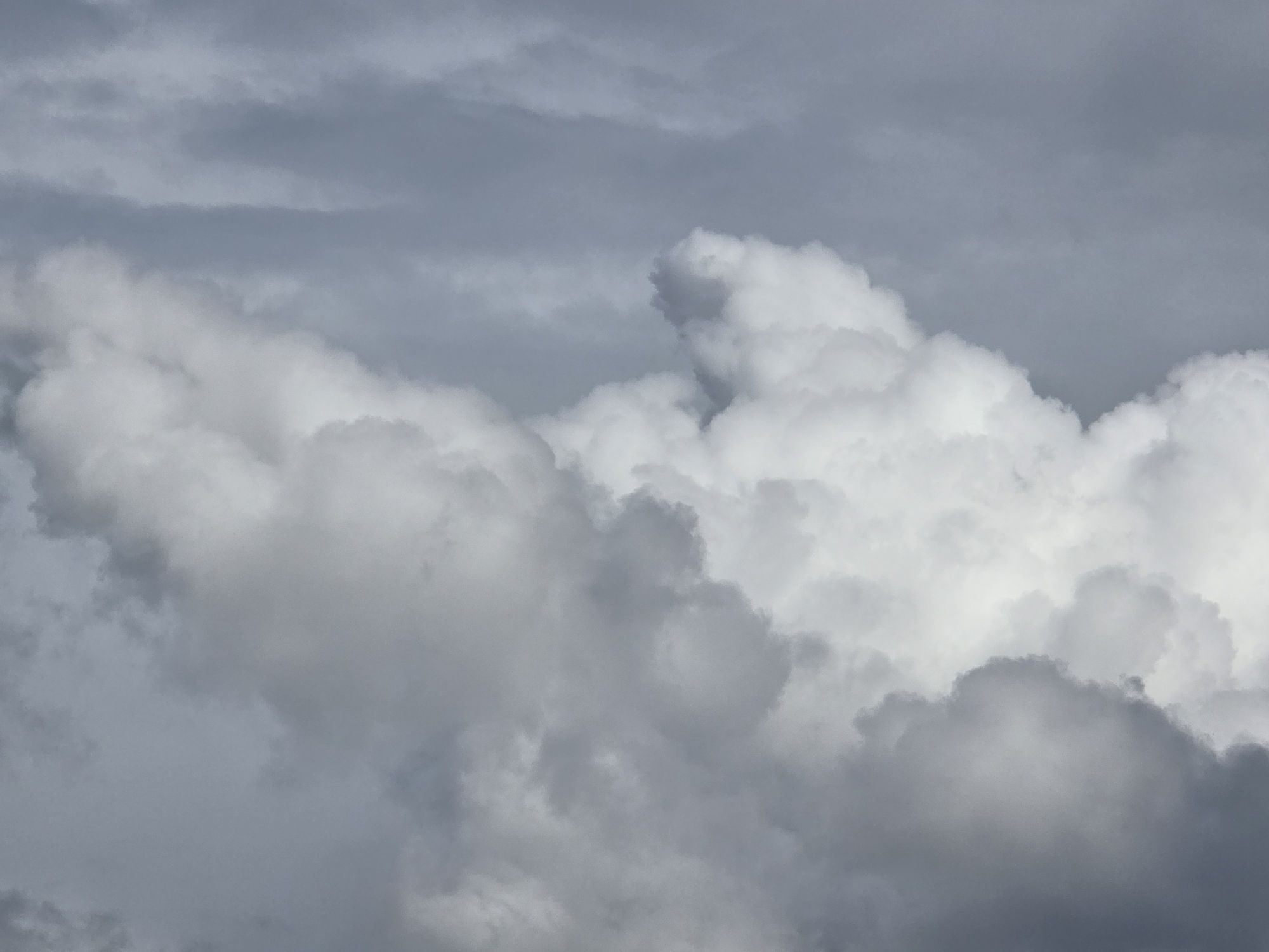Nuage