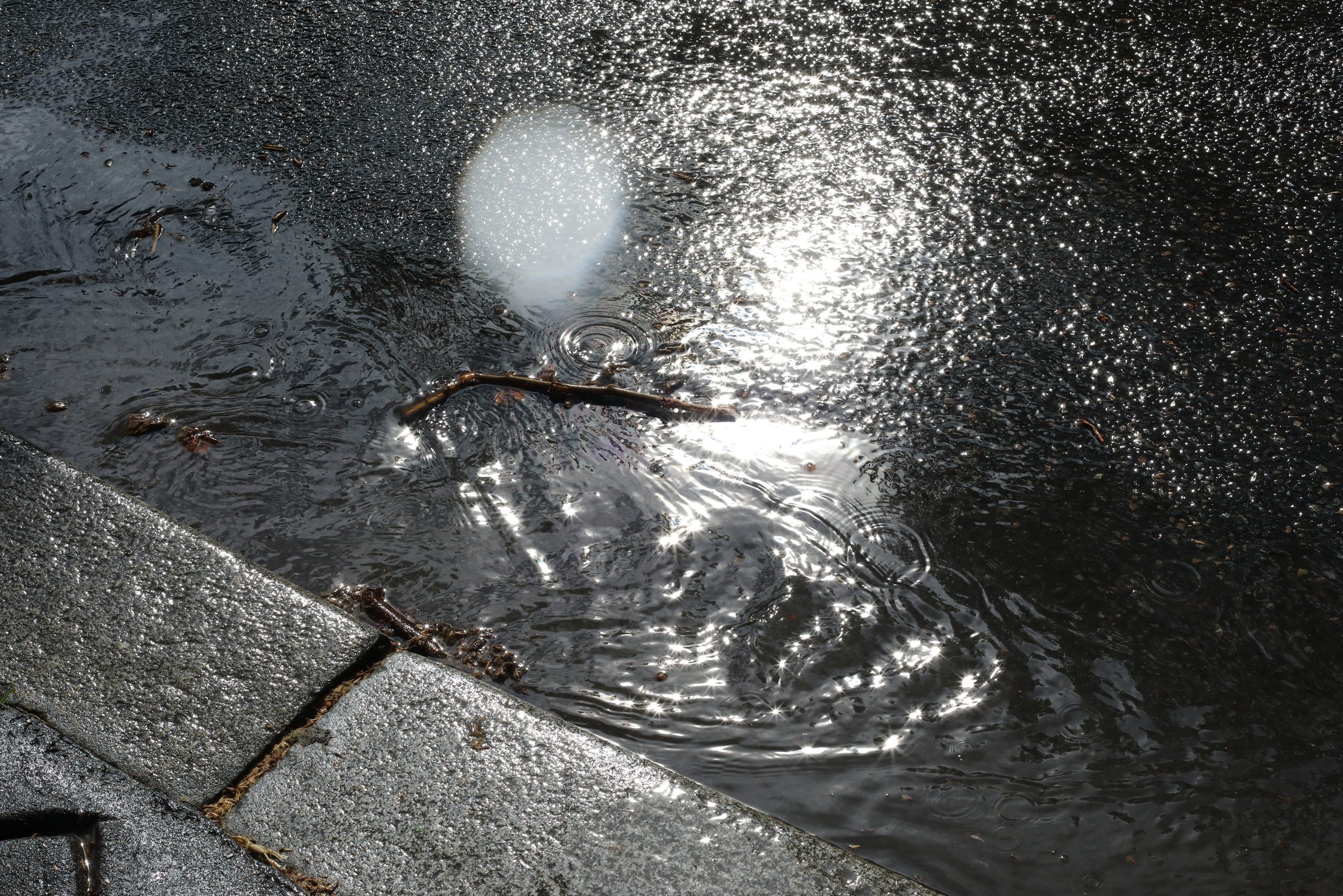 Après la pluie