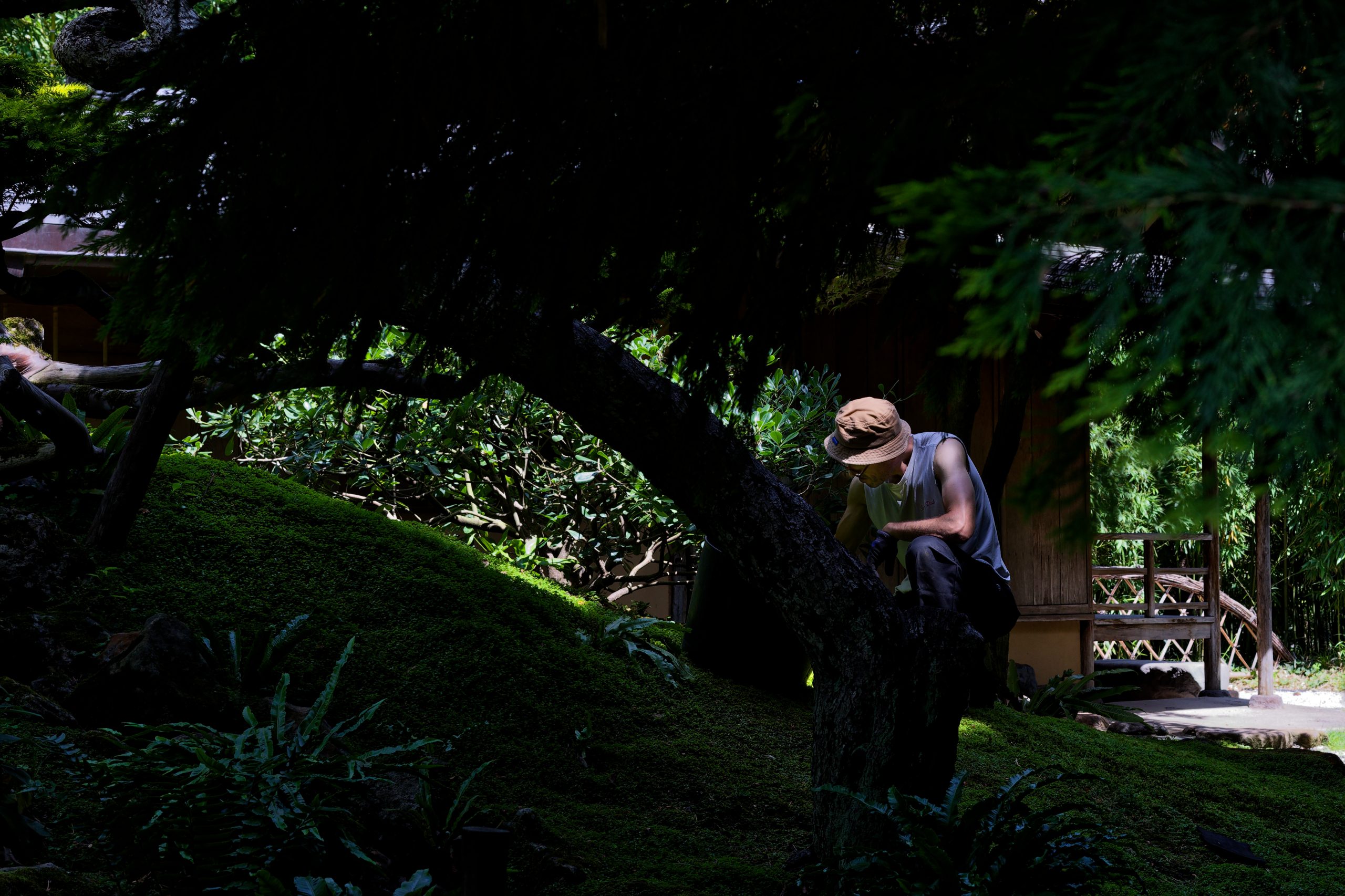 Jardinier