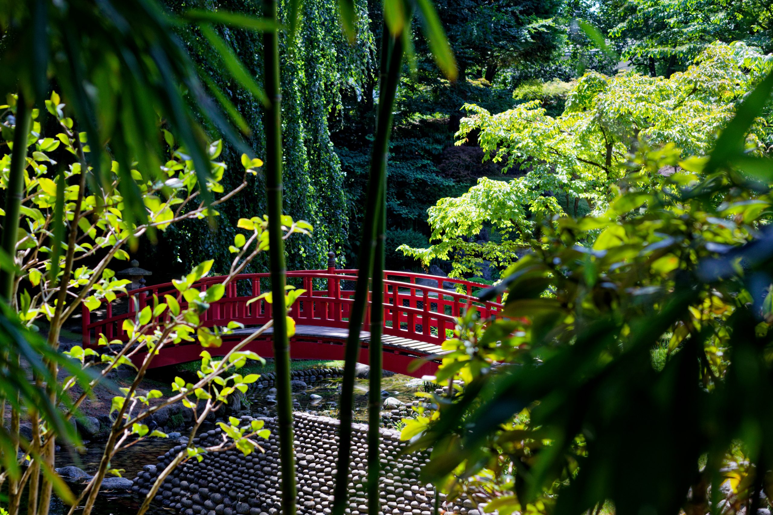 Pont rouge